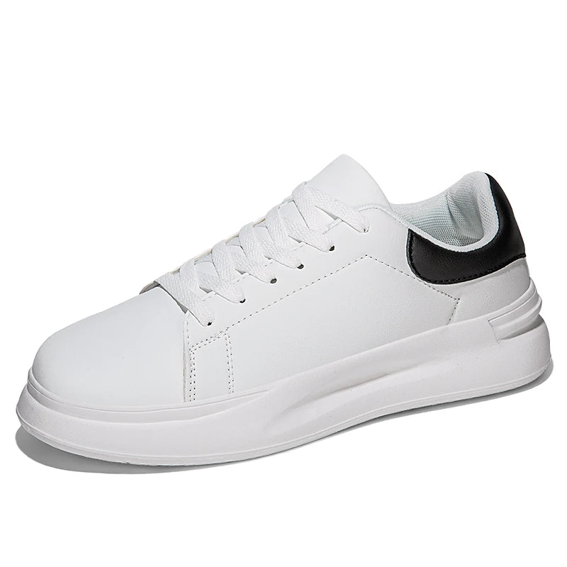 ALEXANDER NOIR   CLB