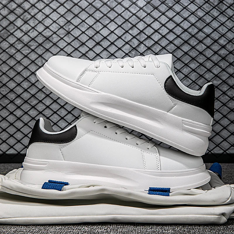 ALEXANDER NOIR   CLB